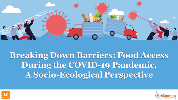 Breaking Down Barriers: Food Access During the COVID-19 Pandemic, A ...
