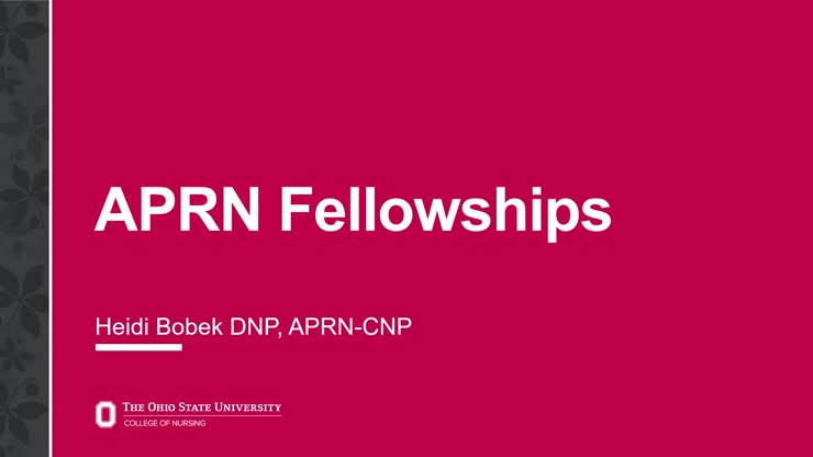 TTP Fellowships 2026