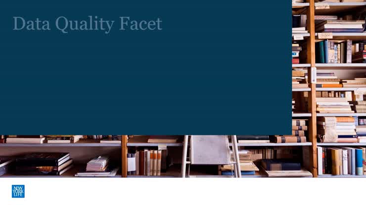 Data Quality Facet Overview