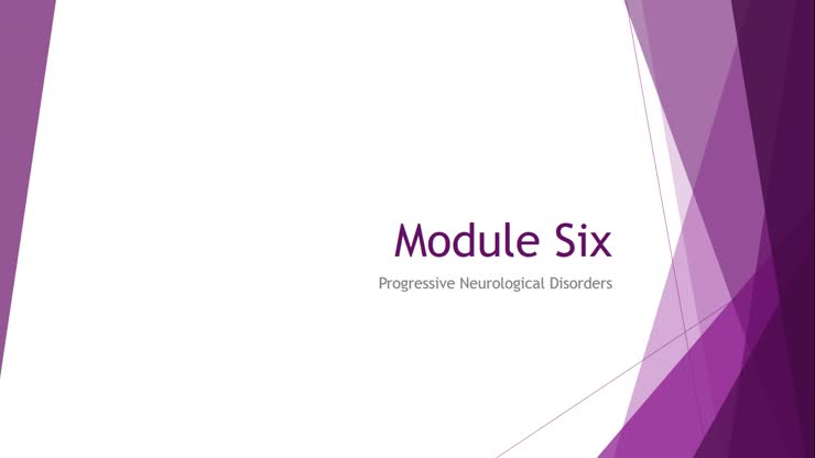 Module Six