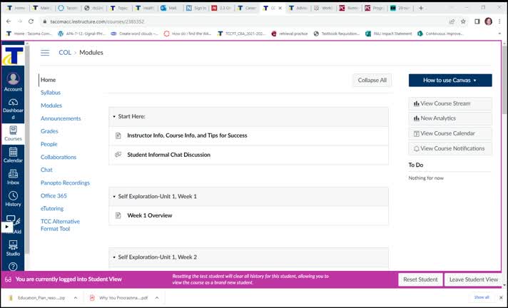 How I Design Canvas:Text Features