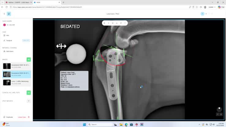 Luna Cook: L TPLO
