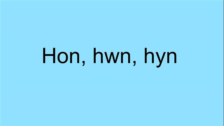 Hwn a hon