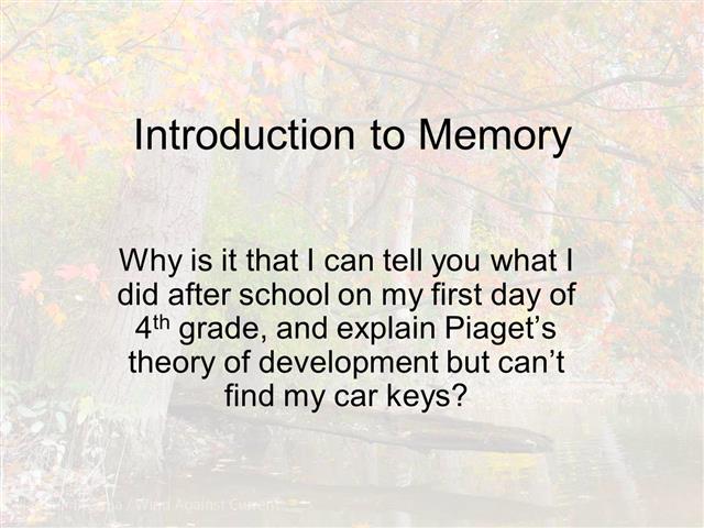 Information Processing Model of Memory