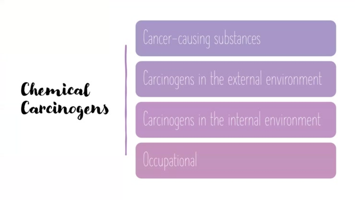 NSG2440 Chapter 8 Cancer