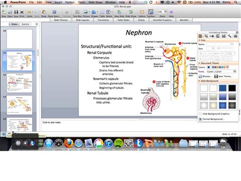 The Nephron