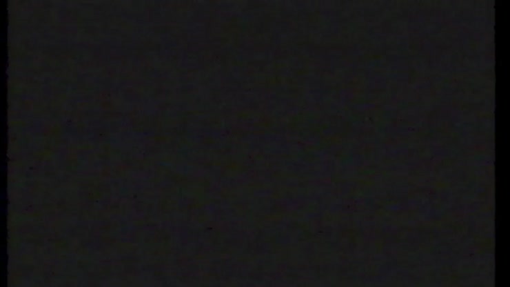 Week 8 Cross-Examination with Prior Inconsistent Statement