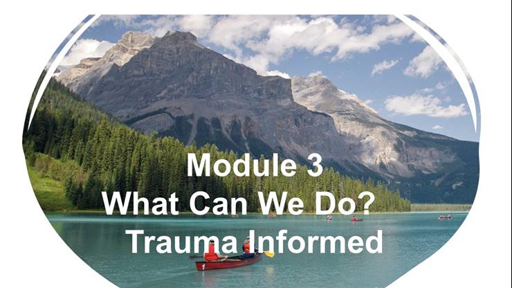 Module 3 What Can We Do? Trauma Informed