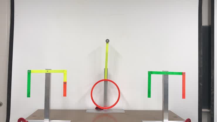 3A95.50 - Rott's and Alogo Pendula