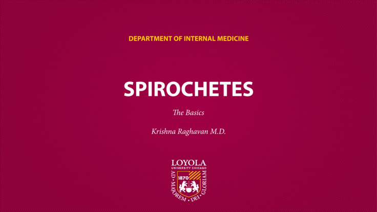 Spirochetes