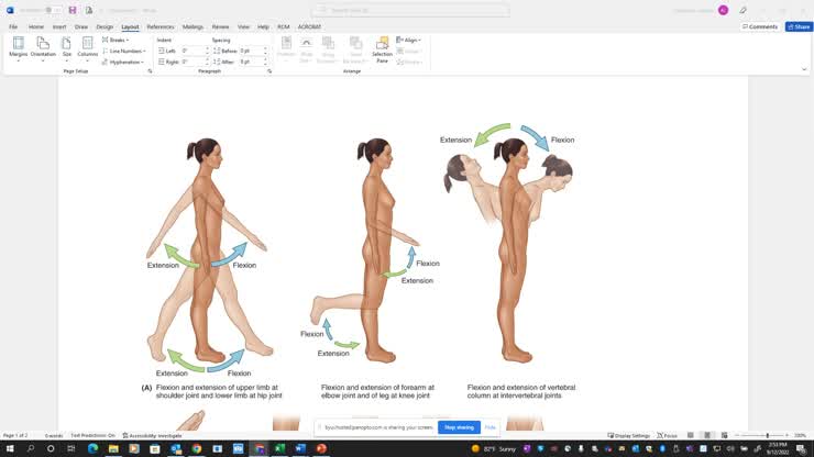 Movements BIO 460