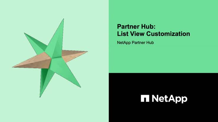 Partner Hub_List View Customization