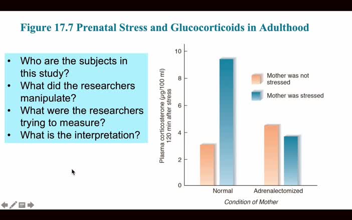 Stress- PNE