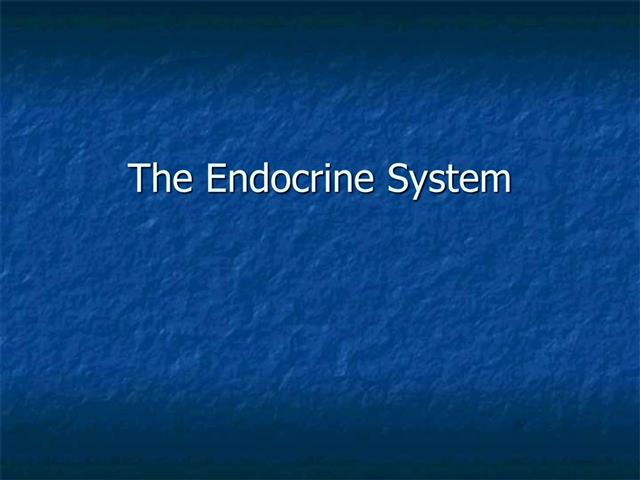 Endocrine System