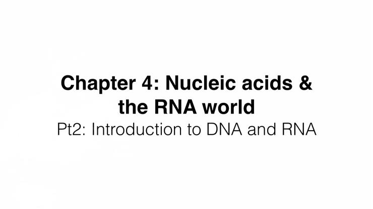 Chapter 4 Part 2