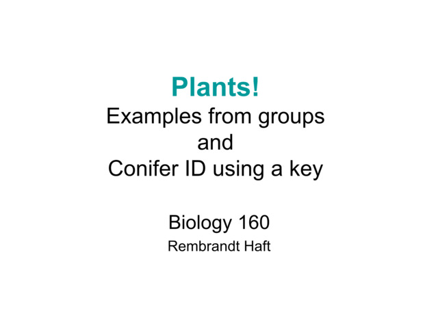 Biology 160 plant examples for lab
