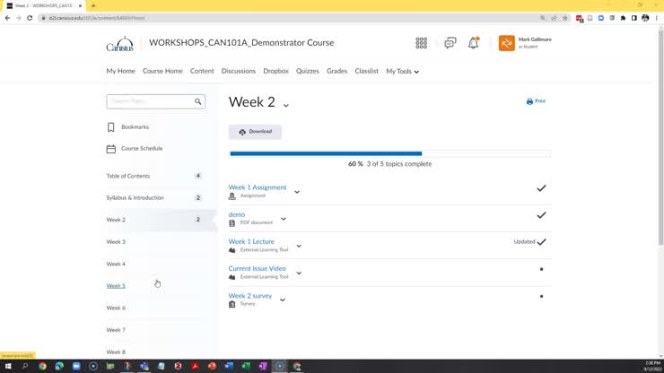 D2L Instructor: Adding and Working With Files