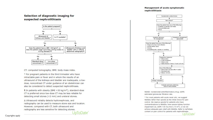 Friday, February 23 Nephrology 2