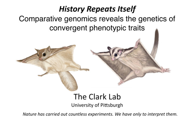 Clark Lab Introduction