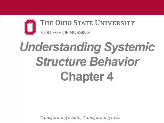 Understanding Systemic Structure Behavior