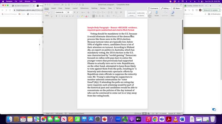Body Paragraphs
