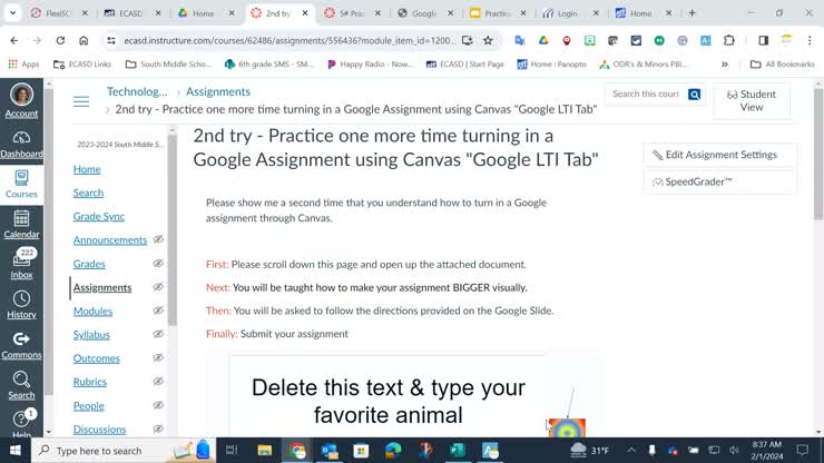 2nd try of submitting a Google assignment in Canvas