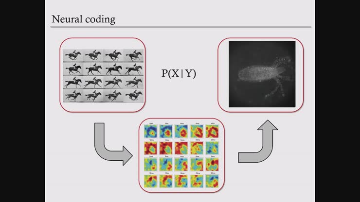A. Fairhall: Introduction to neural coding - 07/31/19