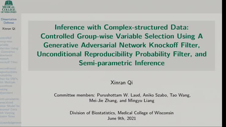 Xinran Qi Dissertation Defense